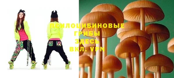 apvp Сосновый Бор