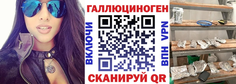 Псилоцибиновые грибы Psilocybine cubensis  Можга 