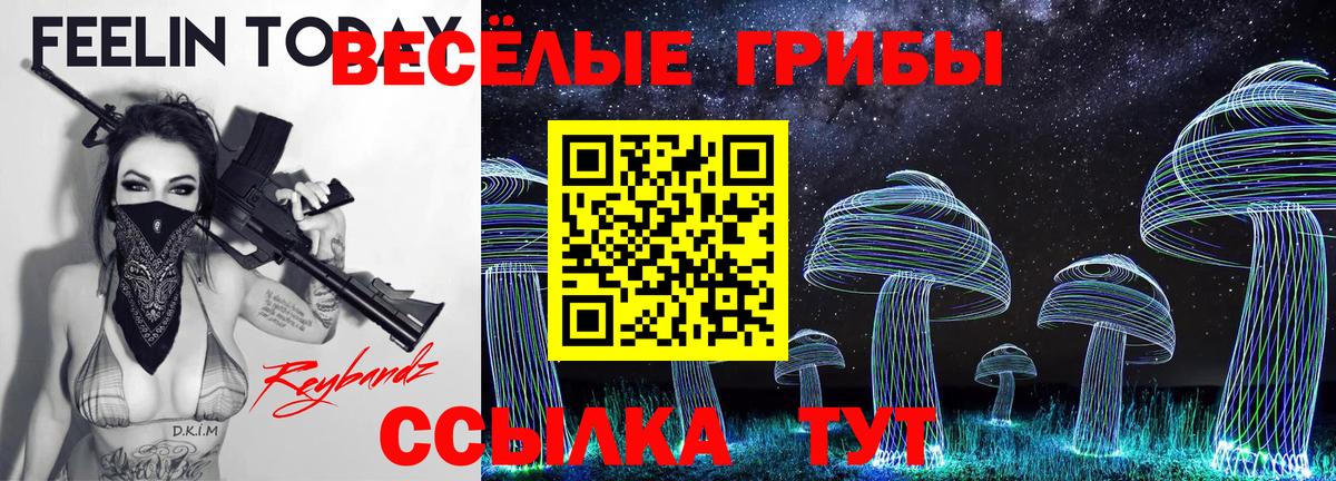 Галлюциногенные грибы MAGIC MUSHROOMS  Вход с VPN  Можга 