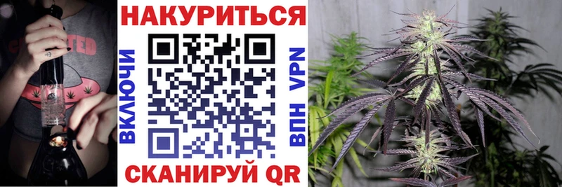 Бошки Шишки марихуана  Можга 